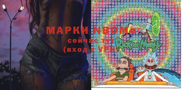 индика Медвежьегорск