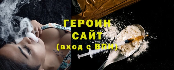 индика Медвежьегорск
