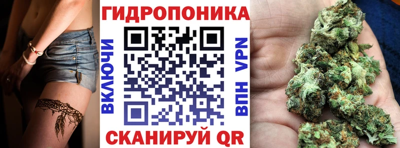 Каннабис White Widow Полысаево